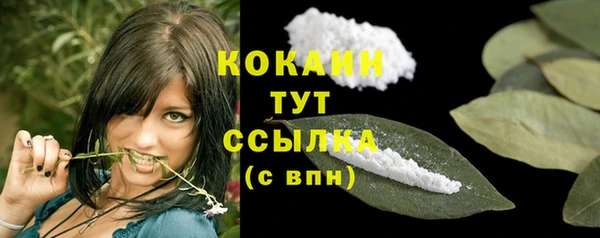 прущие грибы Богданович