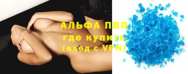 прущие грибы Богданович
