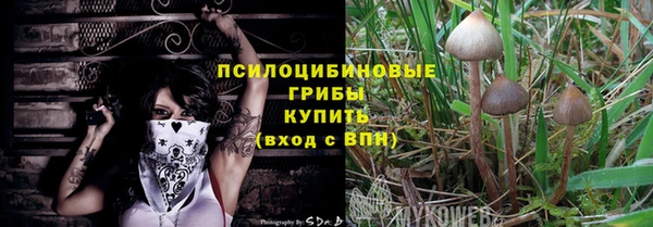 бошки Богородицк
