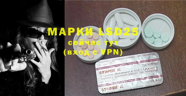 прущие грибы Богданович