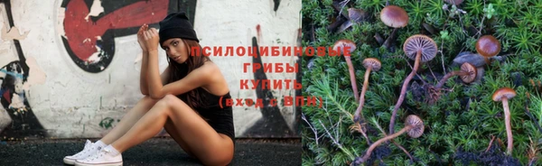 бошки Богородицк