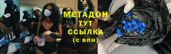 прущие грибы Богданович
