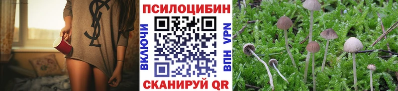 Псилоцибиновые грибы Magic Shrooms  Купить закладки  Анива 